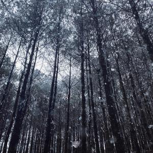 免费看美女裸体🔞🔞🔞电影
