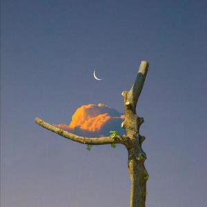 免费看美女裸体🔞🔞🔞电影
